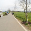 청보리축제장 이미지