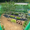 홍이네농장 이미지