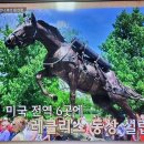 워싱턴DC 6.25한국전쟁 추모벽을 가다. 미해병대 레클리스 하사는 제주말, 탄약통 운반 임무수행한 전쟁영웅 이미지