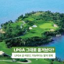 파인비치골프링크스 | 세계 100대 코스 파인비치 골프링크스 LPGA 느낌 그대로 돌 수 있다고