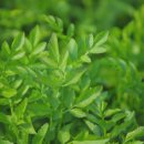 시골살이마을 이미지