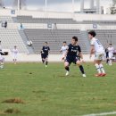 주경기장 잔디구장 이미지