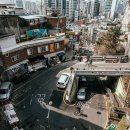 라파마을 이미지