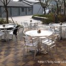 강호동치킨 이미지