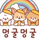 제천유치원 이미지