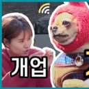 북다마스 이미지