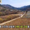 강림면344 이미지