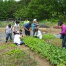 이목중학교 이미지