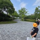 순천만 풍경 | 6살아이와순천만국가정원 스카이큐브 후기｜순천만습지·갈대열차·쉼터까지 여름🥵 솔직 리뷰