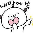 도그온리 이미지