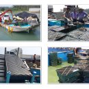 바다향 참전복 이미지