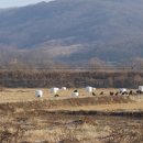 경기도 북부야생동물구조관리센터 이미지