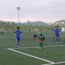 곤명축구장 Daum카페