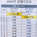 영산대학(5000번, 57번 버스 시간표) 이미지