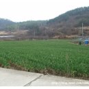 남진미술관1 이미지