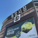 6727 | (서울) 광장시장 육탕이(창신육회)와 녹두전 근황은 어떨까요?! 내돈내산 후기