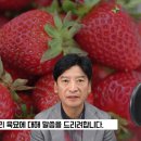 메디풀(Medipool) 이미지