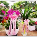 완산-127 이미지