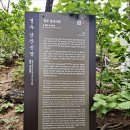 경주남산한바퀴(월정교,금오봉,칠불암)~230527새트랙없슴 이미지