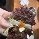 최고갈비 등촌역본점 | 등촌] 등촌동 최고 갈비, [최고갈비] 솔직후기 (온누리 가능?)