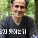 [루퍼트스파이라] 나는 왜 아직 깨닫지 못하는가? Why am I Not Enlightened Yet ?(한글자막포함) 이미지