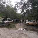 금광농장 이미지