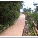 비봉산 투어로드 이미지