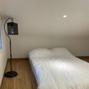 나무들의 수다 이미지