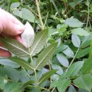 백선농장 이미지