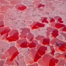 호수세탁소 이미지