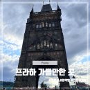 (구)시민회관 | 체코 여행 프라하 가볼만한 곳 추천 코스 화약탑 시민회관 천문시계탑