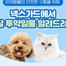 넥스가드