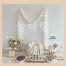 온아설기 | 광주 백일상 대여 온아 데이, 내돈내산 홈 셀프 촬영 후기