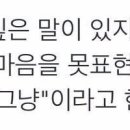 통닭앤치즈