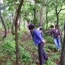 명기농장 이미지