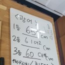 선단낚시