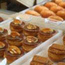 데이스테이 이미지