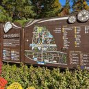 (주)경주산림환경 | 경북 경주 천년숲정원 무료 단풍 명소 구경 천년의숲