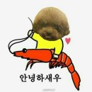 차르도르 애견카페 이미지