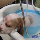 부산마이크로병원 이미지