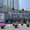 쌍령동-8 이미지