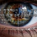 판교 태양광발전소 이미지