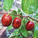 김지웅농장 이미지