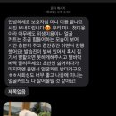 쉐이크테일 강아지 애견 유치원 호텔 미용 이미지