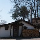 목련나무집 이미지