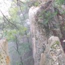 성수산목장 이미지