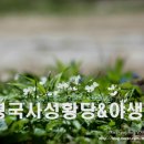 성화당 네이버블로그
