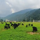 골짜구니농장 이미지