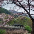 금다래캠핑장 이미지