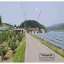 봉소리 경로당 이미지